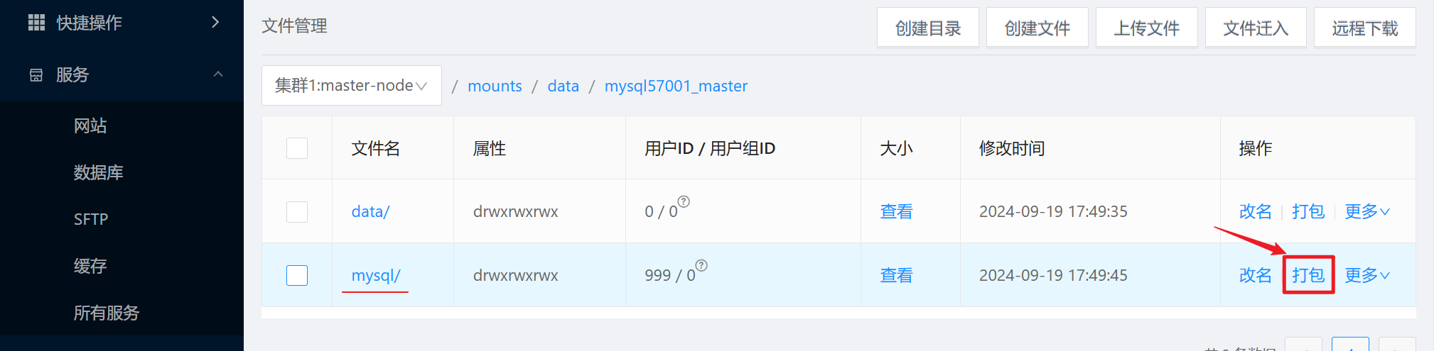 image-20240919175250280