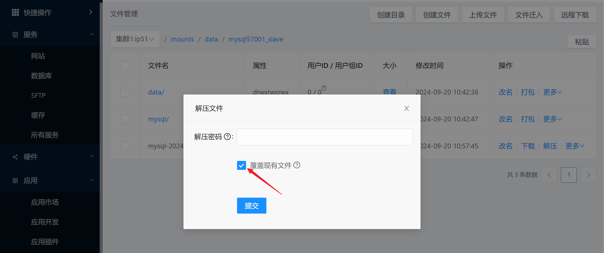 image-20240920105939905