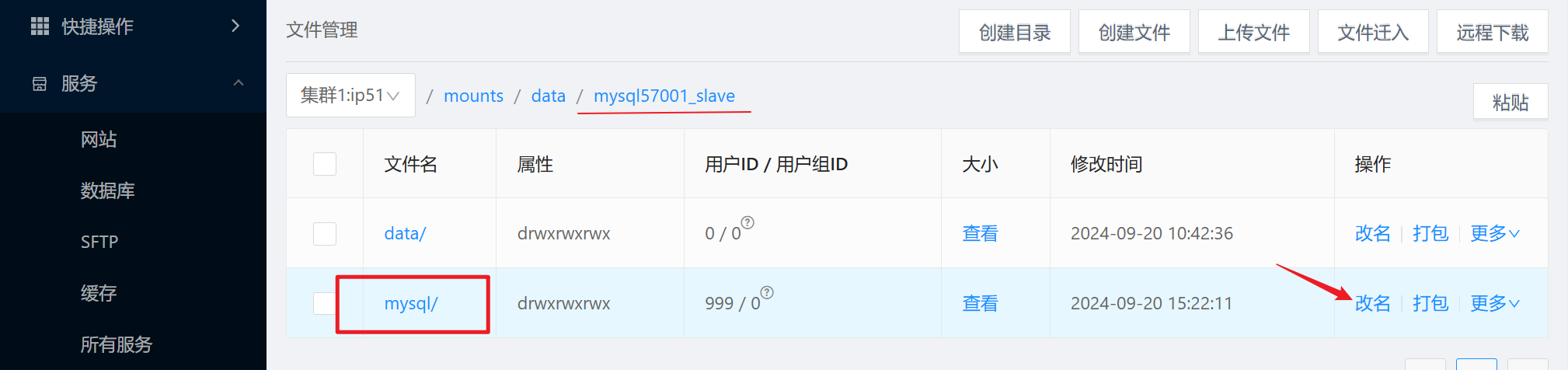 image-20240920153921516