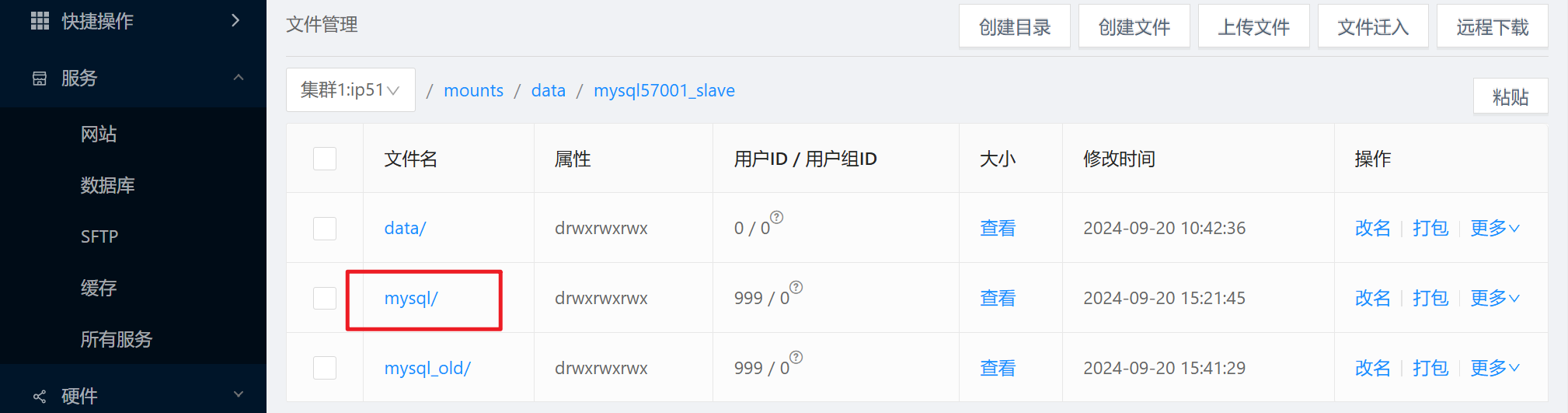 image-20240920154409582